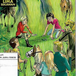 Lima Sekawan : Rawa Rahasia