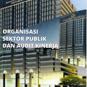 Organisasi Sektor Publik dan Audit Kinerja